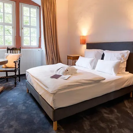 Hotel Schloss Executive Rothenbuch